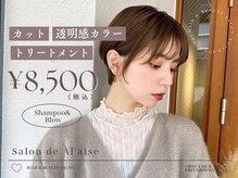 【期間限定クーポン】カット＋透明感カラー＋トリートメント8500円