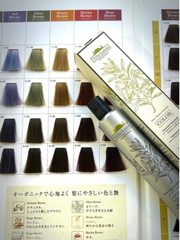 エル(Ailes)の写真/世界初★92%オーガニックヘアカラー【Villa Lodola】気になり始めた白髪・頭皮のお悩みを持つお客様に◎