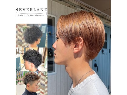 ネバーランド(NEVERLAND)の写真