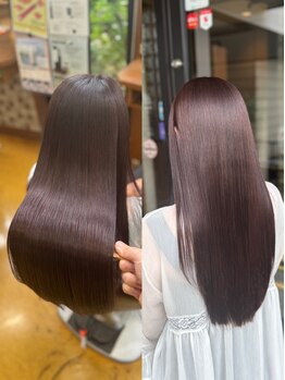 ヘア ショップキャリーの写真/乾かすだけで収まる、ドライヤーを早くしたい、朝のアイロンが面倒。忙しい毎日をもっと楽に！