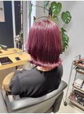 カシスピンク【藤沢】