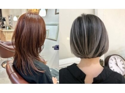 エラム(Elam)の写真