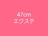 ↓↓↓エクステ47cmクーポン↓↓↓