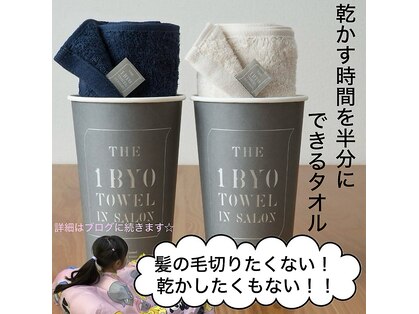 ミヤイ(MIYAI)の写真