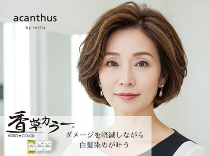 アカンサス バイ ミリー 高槻店(acanthus by milly)の写真