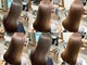 イリーブ(elieve)の写真
