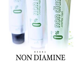 ヘアーアンドスパ パーム 東大宮店(hair and spa palm)の写真/ノンジアミンカラー