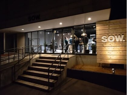 ソウ(SOW.)の写真