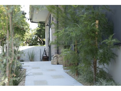 トゥインクル 金町(Twinkle)の写真