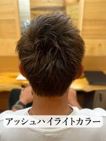 ハース(HEARTH)&nbsp;アッシュハイライトカラー