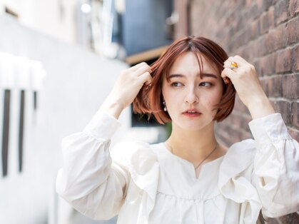 シュシュ(chouchou)の写真