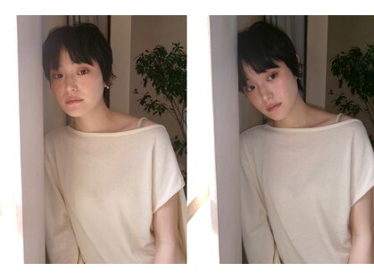 ライク ベター(like better)の写真