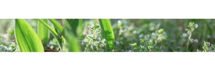 リーファ(reefur)のサロンヘッダー