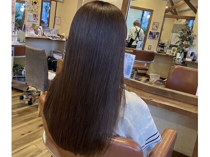 アーシュ(h[a:∫])の写真