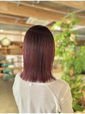 ヘイリーボブ