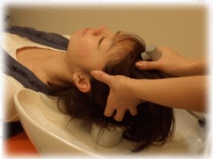 アーニマ(Anima)の写真