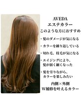 ダメージが気になる髪も“スキンケア発想”で美しく。髪質改善×エイジングケアAVEDAエステカラー