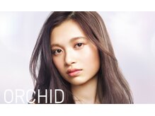 やわらかい紫色のオーキッド[秋葉原]