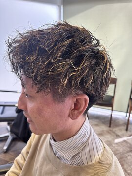 ステレオ ヘアデザイン 安城店(STEREO HAIR DESIGN) ハイライト 1月