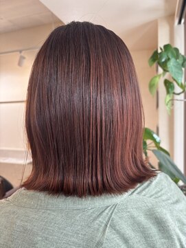 インビテーション(invitation) ブラッドオレンジ