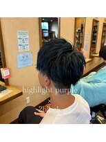 シェロヘア(cielo HAIR)&nbsp;ハイライトパープル×2ブロック