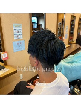 シェロヘア(cielo HAIR) ハイライトパープル×2ブロック