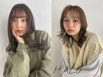 HALO 蕨 【ハロ】