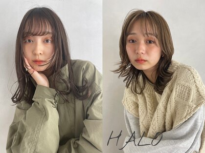 ハロ 蕨(HALO)の写真