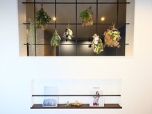 ジッカ(zicca)の雰囲気（植物に囲まれた心安らぐ店内）