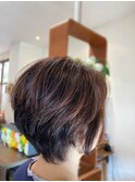立体カラー ショートヘア