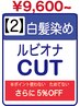 【2】No.1♪地肌ケア重視・白髪染め・ルビオナ+カット¥9600~|WEB予約限定