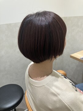 本と南風 guest design