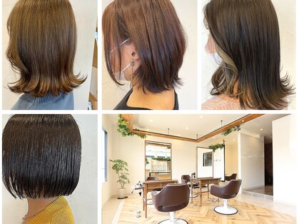 モプレア(MOPLEA)の写真