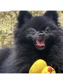 リリーズ 市原店(Lily's) 愛犬です!毎日癒しをもらってます♪