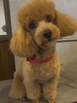 ガーフィー(garfy) ふんわり残して汚れやすい所スッキリ