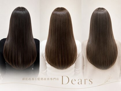 ディアーズ(Dears)の写真