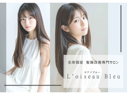 ロアゾブルー(L'oiseau Bleu)の写真