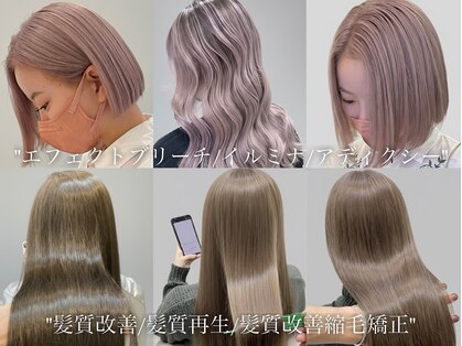 ロイ(ROI)の写真