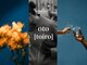 oto［toiro］【オト】【9月4日NEW OPEN（予定）】の写真