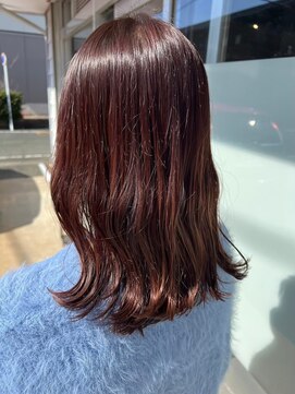 ネリネ(Nerine) ピンクブラウン