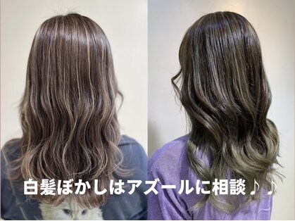 アズール 草加(azule)の写真