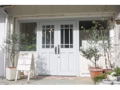 メリオル(MELIOR)の写真