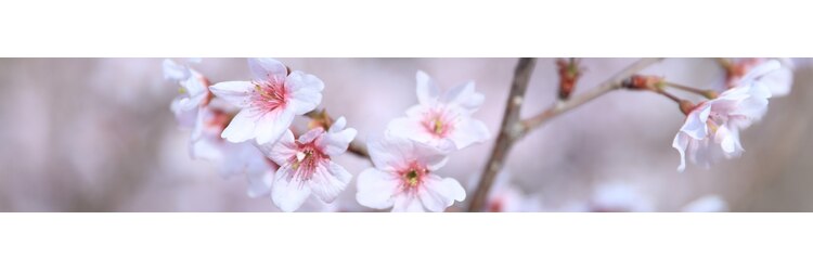 リーファ(reefur)のサロンヘッダー