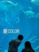 シャルシェ(Chercher) 夏映えCOLOR
