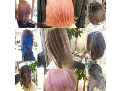 アリクア(Aliqua)の写真