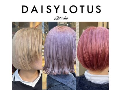 デイジーロータス(DAISYLOTUS)の写真
