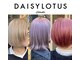 デイジーロータス(DAISYLOTUS)の写真