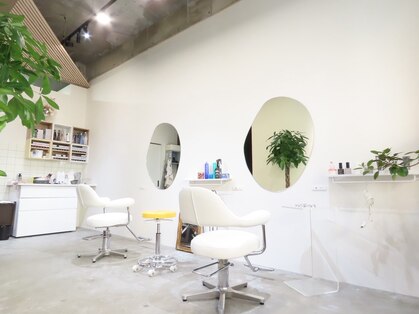 バド(BUD)の写真