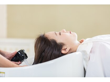 モッシュ(mosshu)の写真