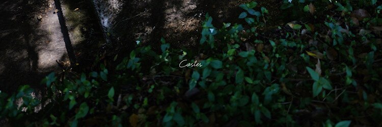 コスト(costes)のサロンヘッダー